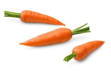 carrot isolated on white background. clipping path