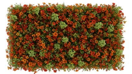 Vibrant autumn foliage arranged in a square shape on a black background