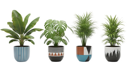 Fototapeta premium Four potted indoor plants with decorative containers on a black background