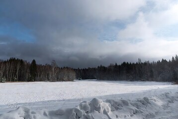 A dramatic winter landscape featuring a snow-covered field and a forest under a cloudy sky