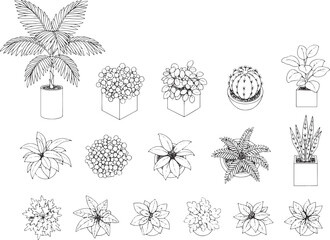 A collection of botanical illustrations, showcasing a variety of potted plants and floral arrangements in a minimalist and artistic manner.