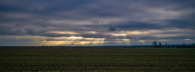 ein gr&uuml;nes Feld vor dramatisch bew&ouml;lktem Himmel
