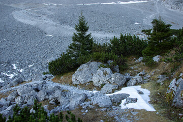 Rocky terrain with patches of snow and evergreen trees, showcasing a natural landscape in a...