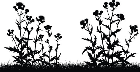 Two black silhouettes of successful photographers celebrating a victory by raising their hands while holding a camera on white background