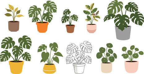 Set of Indoor Tropical Houseplants in Colorful Pots, Flat Vector Illustration Collection for Home Decor, Botanical Design, and Modern Interior Styling © Sanjida