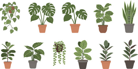 Indoor houseplant illustration set featuring monstera, snake plant, philodendron, hanging vines, and leafy potted greenery for modern home decor and botanical vector design projects. © Sanjida