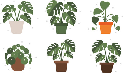 Modern potted houseplant illustration set featuring monstera and heartleaf philodendron plants in decorative pots, perfect for indoor greenery, botanical themes, and home decor vector designs. © Sanjida