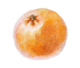 Fototapeta premium Watercolor illustration of a sweet ripe mandarin in bright orange peel. Fresh citrus artwork perfect for food design, kitchen decor, holiday projects, and seasonal botanical compositions