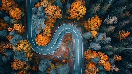 Drone shot winding road through autumn forest aerial view
