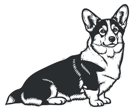 A stylized illustration of a corgi dog in black and white vector style, perfect for pet-themed designs