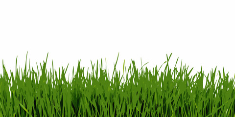 A simple view of lush green grass against a clean white background © Rathin