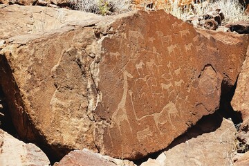 Prehistoric rock engravings from the Stone Age at the UNESCO World Heritage Site of Twyfelfontein in Namibia, Africa. 