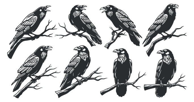 A set of eight stylized crows and ravens perched on branches in black and white vector style, ideal for nature-themed designs