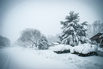 Neighborhood Snow