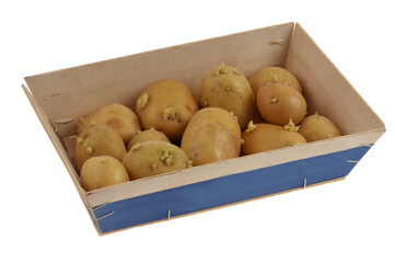 Pommes de terre germ&eacute;es dans une cagette en bois en gros plan isol&eacute;e sur fond blanc