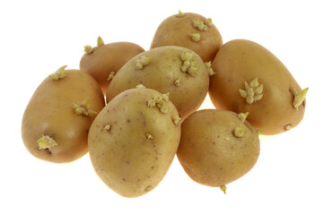 Pommes de terre germ&eacute;es en gros plan isol&eacute;es sur fond blanc