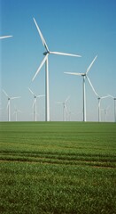 Fototapeta premium Field of wind turbines generating clean energy. Renewable power source for sustainable development. Industrial landscape with green grass.
