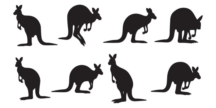 kangaroo silhouettes vector