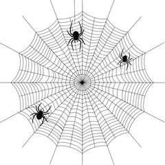 Fototapeta premium Spider Web with Spiders Illustration for Halloween Decor