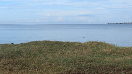 Sea view with green trees on the beach