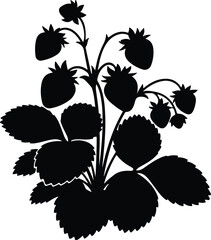Silhouette strawberry plant with ripe fruits and green leaves Vector Illustration