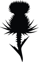 Silhouette Thistle Flower Plant Wild Nature Vector Illustration
