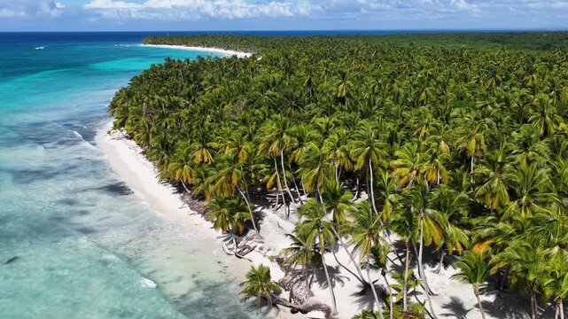 Isla Saona In Punta Cana La Altagracia Dominican Republic. Turquoise Ocean Waves Gently Crashing On Tropical Beach. Coast Horizon Seaside Summertime. Coast Outdoors Panning Wide.