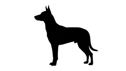 Dog Silhouette in Profile: A stark black silhouette of a dog, poised and alert, stands in profile against an open background. Highlighting the elegance of this faithful companion.