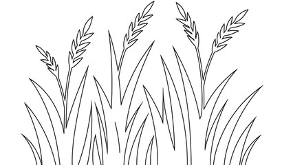 Elegant grass and wheat stalks in minimalist line art style