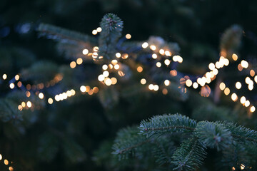 Close-up of a christmas tree with golden bokeh lights.