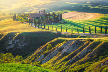 Rural scenery with agricultural lands at sunset, Tuscany, Italy