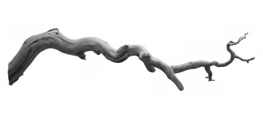 Gray driftwood branch 3D isolated isolated on a transparent background