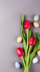 Vibrant red tulips are artistically arranged with pastel-colored eggs on a smooth gray surface, perfect for spring festivities, stories templates with copy space