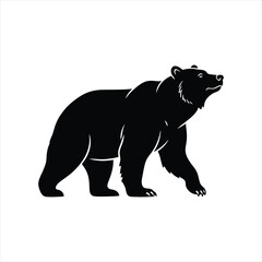 Large grizzly bear silhouette walking isolated on white background.