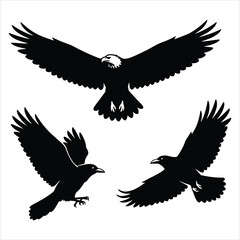 Majestic flying bird silhouettes featuring eagle and hawk in flight.