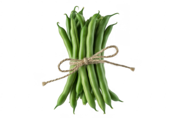 Bunch of green beans tied with twine vegetables fresh isolated on a transparent background