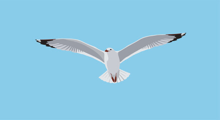 A graceful seagull soaring with outstretched wings against a clear blue sky, capturing the essence of freedom and coastal beauty.