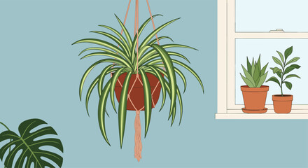 A vibrant spider plant in a hanging macrame planter, alongside smaller potted plants on a windowsill against a serene blue wall.