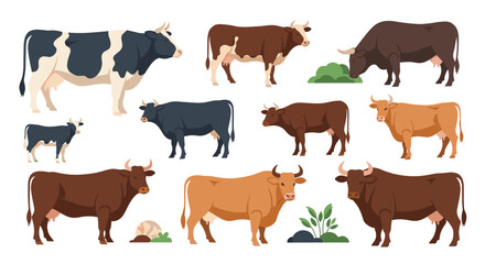 A diverse collection of various cows and bulls in different poses and colors, illustrating cattle farming and animal husbandry.