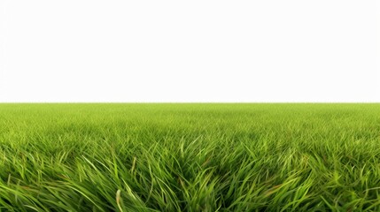 A vibrant green field of grass stretches across the image, set against a plain white background, evoking a sense of freshness and tranquility.
