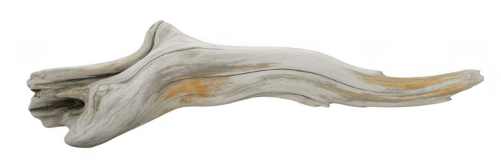 Driftwood piece with natural texture and shape isolated on a transparent background