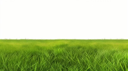 A vibrant expanse of green grass meets a blank white backdrop, creating a serene and minimalistic landscape.