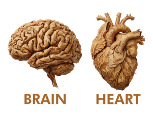 A striking photorealistic image showcases a brain and heart intricately crafted from dried leaves, symbolizing the connection between thought and emotion