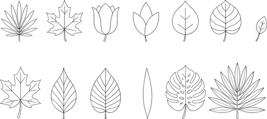 Set of thin line botanical icons featuring various leaf outlines including maple monstera palm and tulip flower silhouettes isolated on white background flat vector illustration © MstBabli