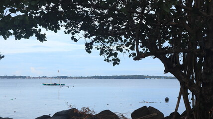 Sea view with green trees frame