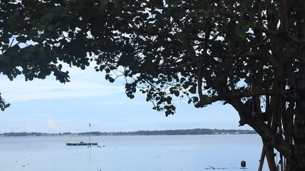 Sea view with green trees frame