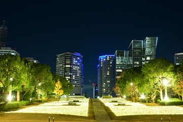 横浜新高島の夜