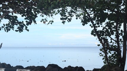 Sea view with green trees frame