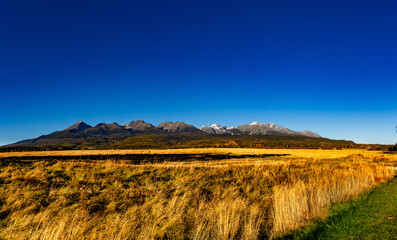 Golden autumn meadow with High Tatra mountains panorama