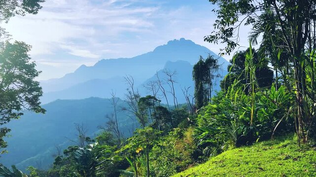 View of Mount Kinabalu surrounded by green hills and valleys in Sabah, Borneo. Dawn over the highest mountain in Malaysia, Kinabalu,4,095 m, on the island of Kalimantan, surrounded by tropical jungles